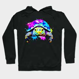 Staring Tortoise | Color Splash Hoodie